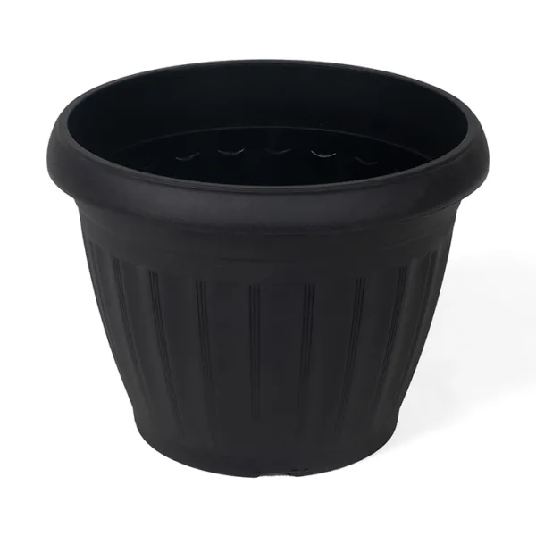 Flower Pot Rose - Image 3